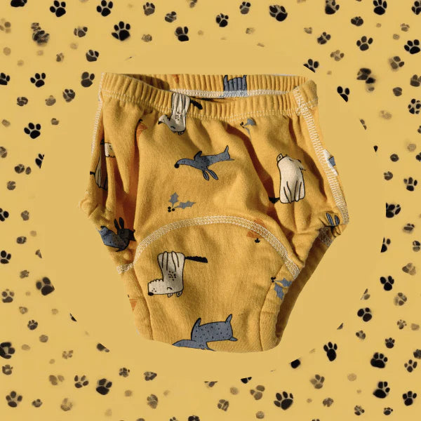 LittleWins PottyPants™